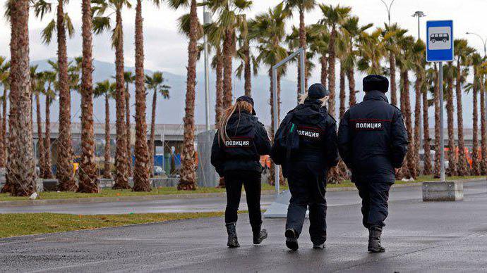 precinct police powers article 17