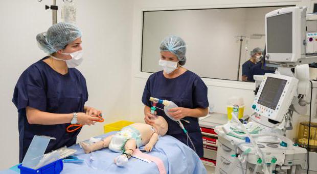  job security requirements