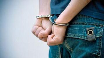 investigator's order