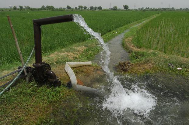 environmental fee form