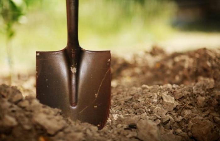 permitted use of land