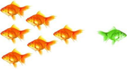  means of individualization of legal entities goods services work