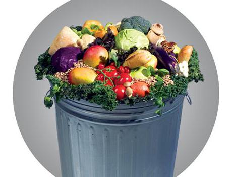 sink waste food chopper