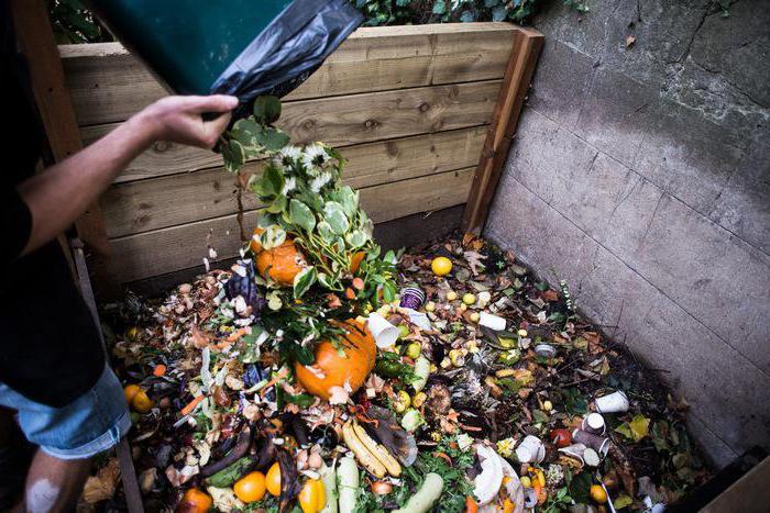food waste disposal