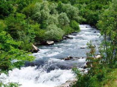 water bodies of the world