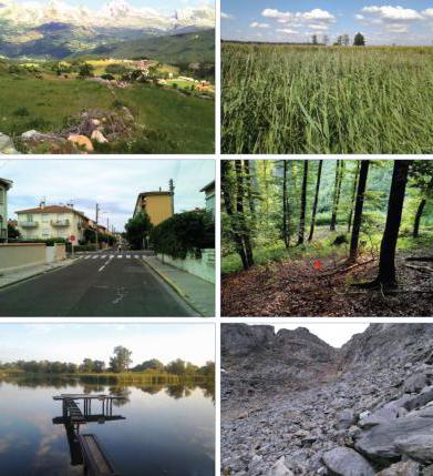 provision of land for free use