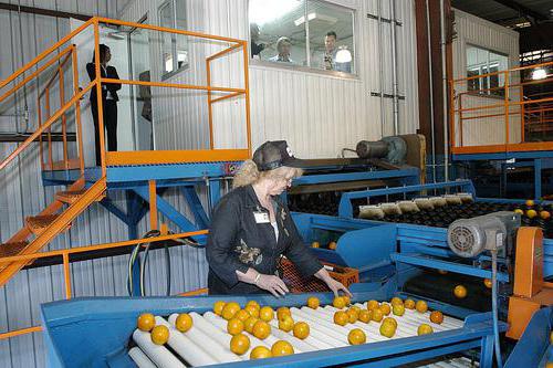 processing time outside the customs territory