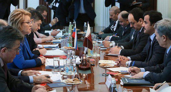  main functions of the federation council