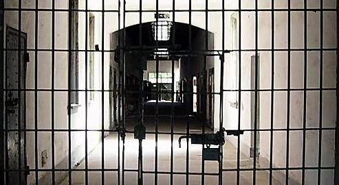 determinants of crime