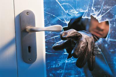 determinants of crime are