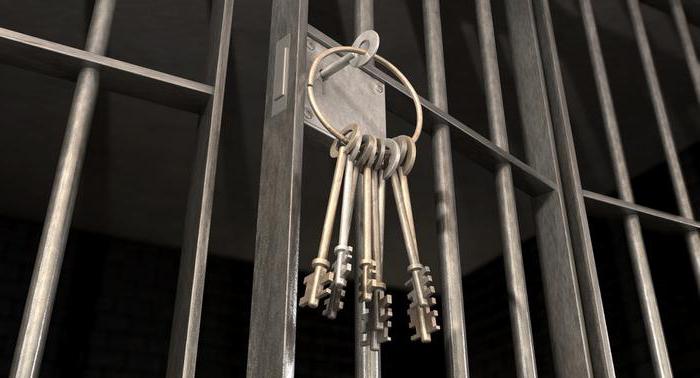 criminal law clemency institution