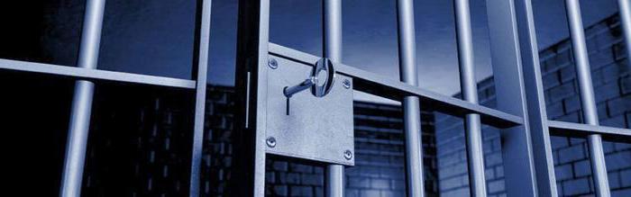 decision to terminate the criminal prosecution