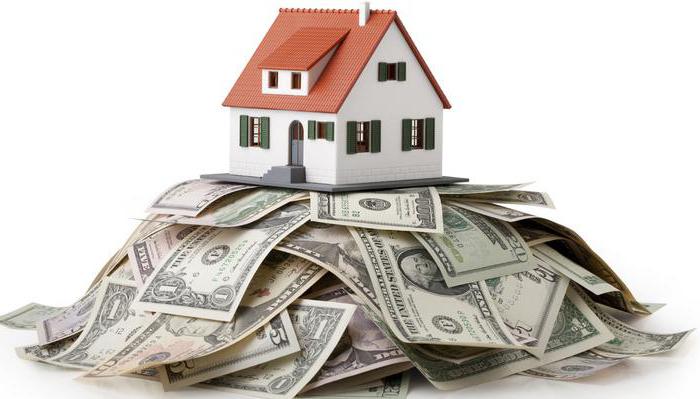 preliminary investigation stages