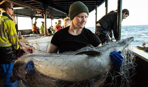 illegal harvesting of aquatic biological resources