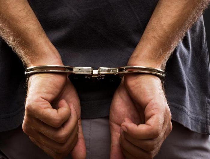 procedural guarantees in criminal proceedings