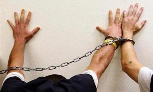 Article 282 of the Russian Federation in the new edition