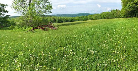 land conservation procedure