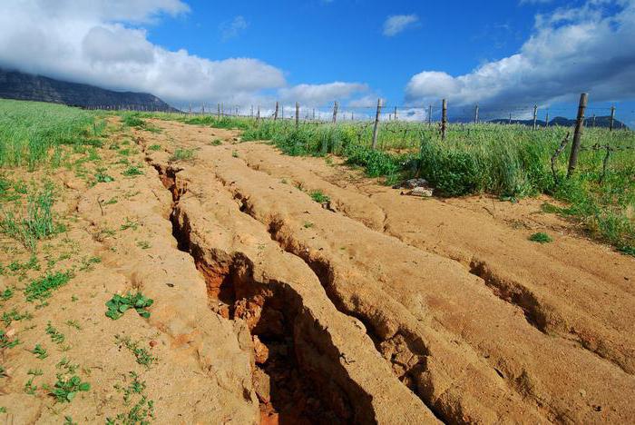 conservation of degraded land