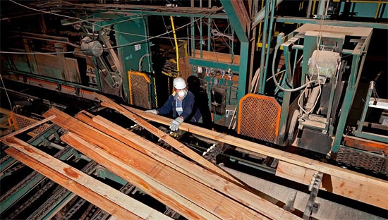 equipment for the production of eurolining