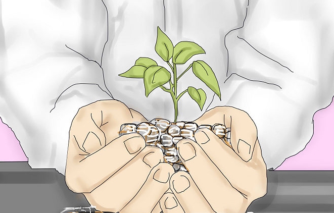 how to become a rich woman