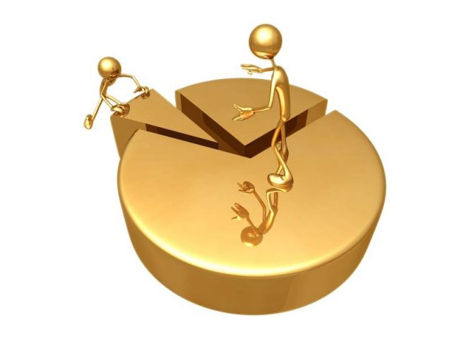 share in the authorized capital of llc