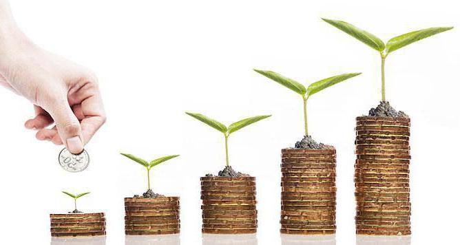 external government loan