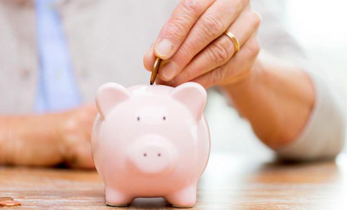 individual payment agent