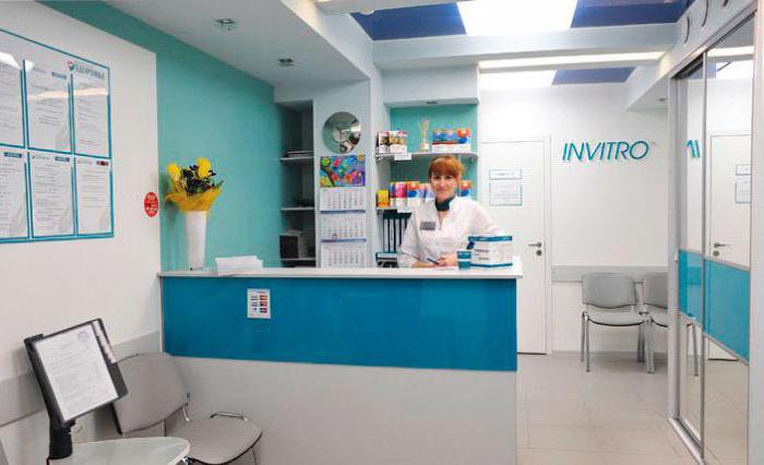 franchise initro reviews