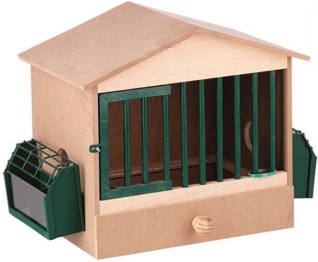 partridge breeding and keeping