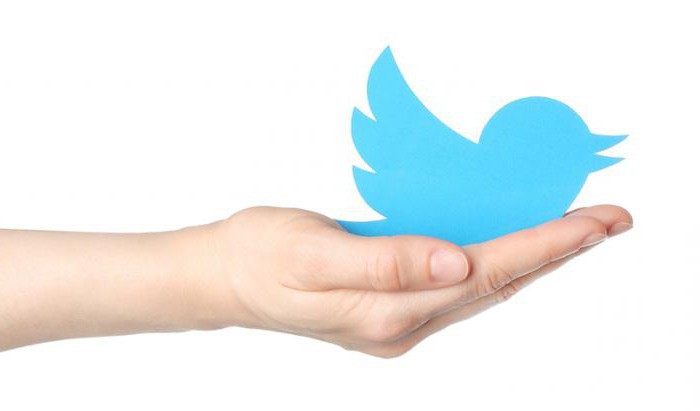 why you need twitter and how to use it