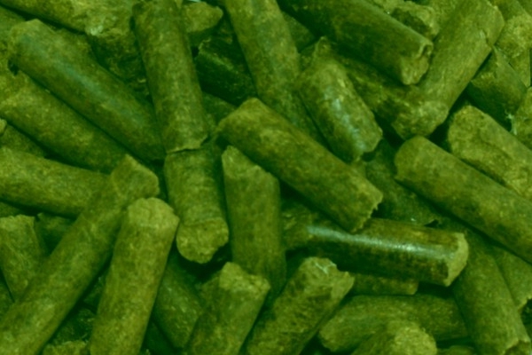 herbal granule production