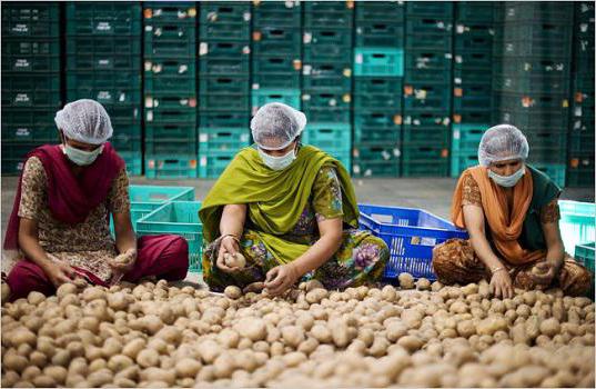 how to make money in the summer in the village