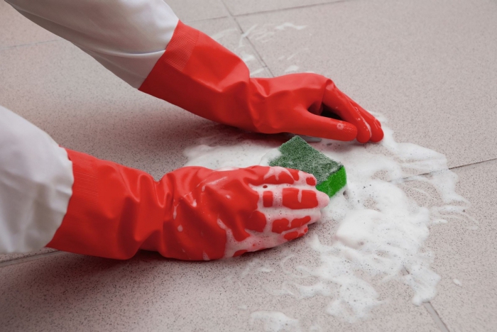 sanitary treatment of premises