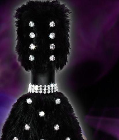 the most expensive champagne in the world