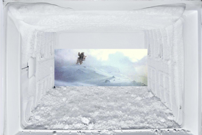 choose a freezer for home