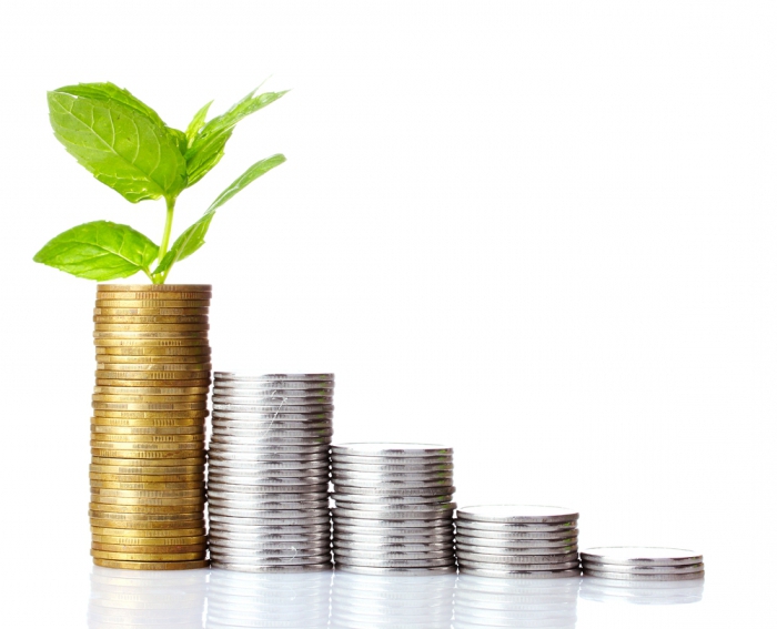 Where to invest at interest