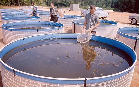 Fish farming equipment