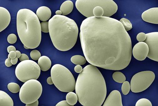 corn starch production