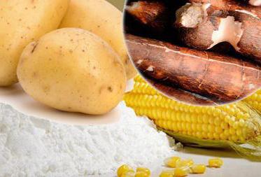 starch production equipment