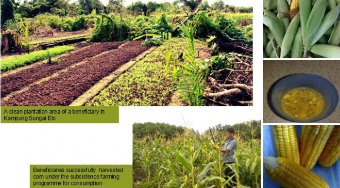 subsistence production