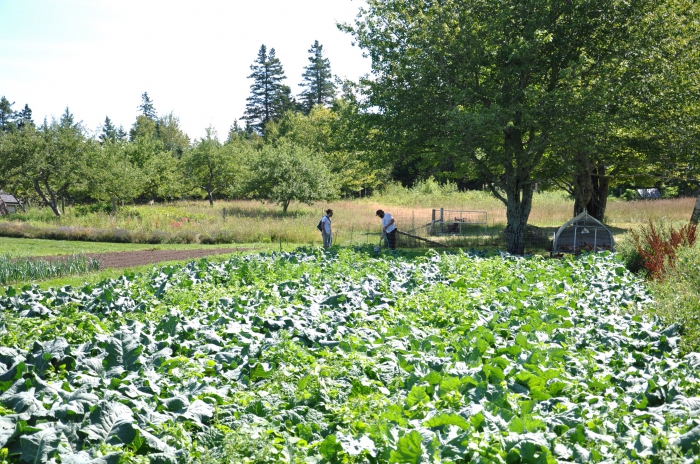 natural production characteristic