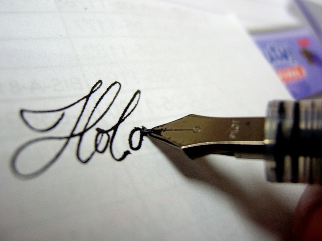 transaction passport is issued in