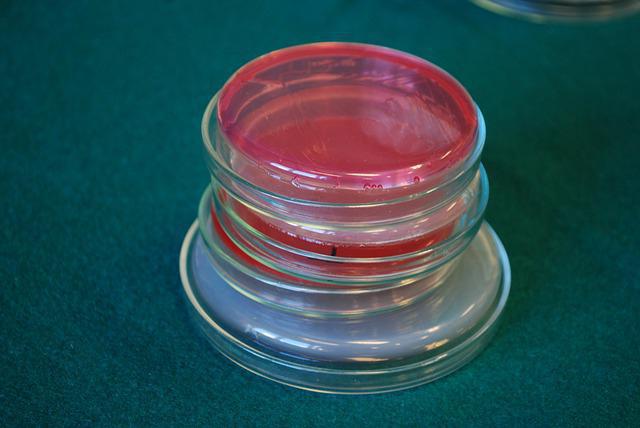 senior laboratory assistant job description