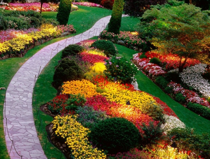 site landscape design