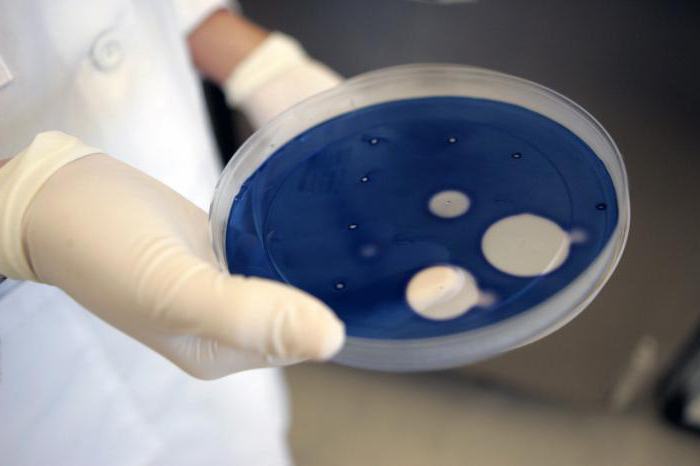 what you need to take to become a forensic scientist