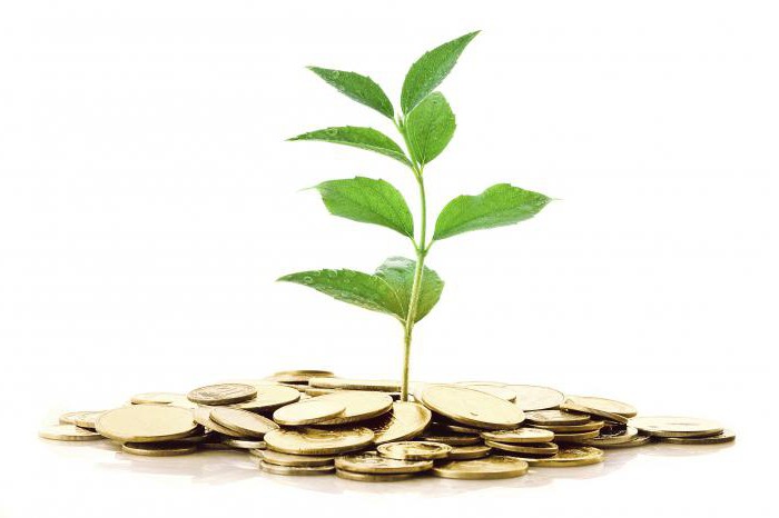 investing for beginners