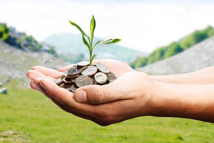 beginner investing basics