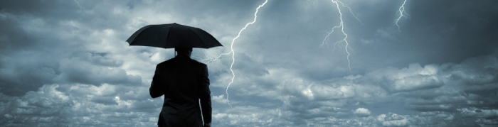 personal insurance organization