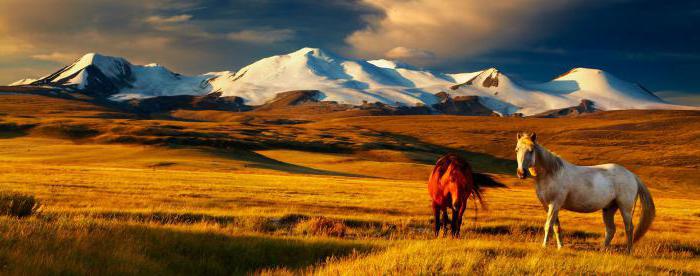 countries with the highest population density