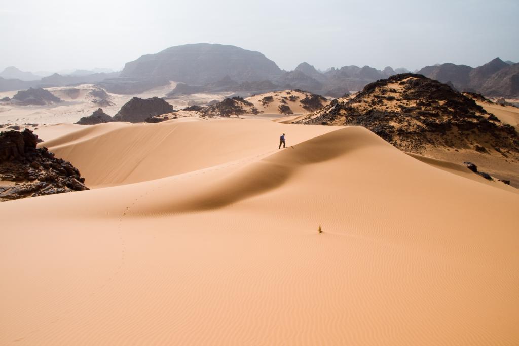 Libyan desert
